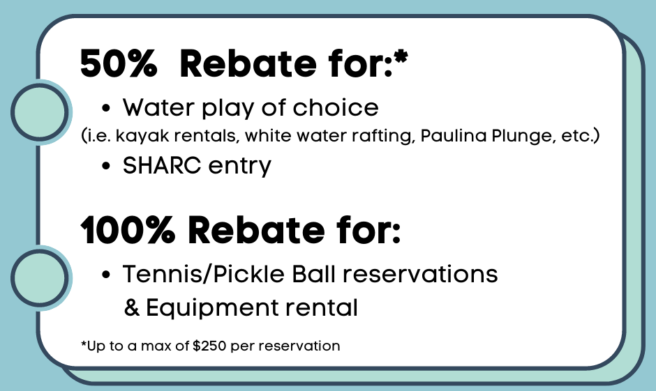 rebate promos