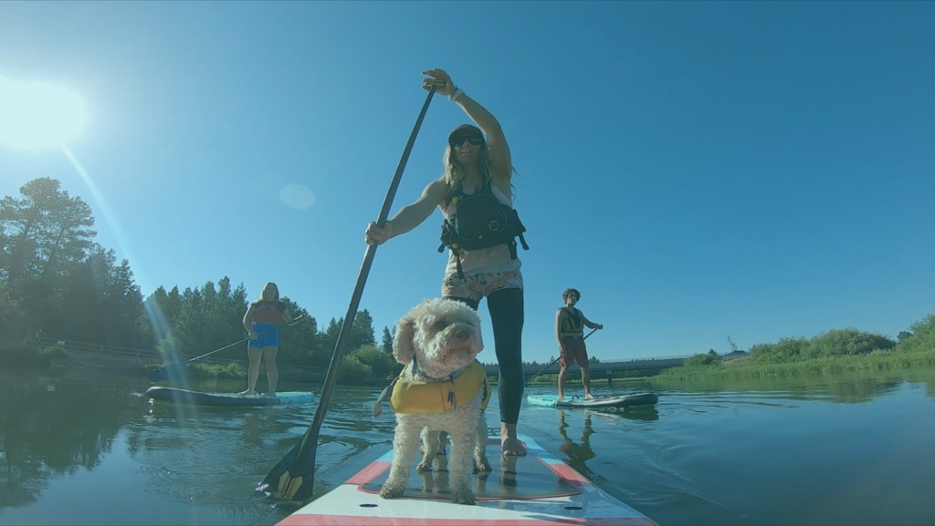 stand up paddleboarding