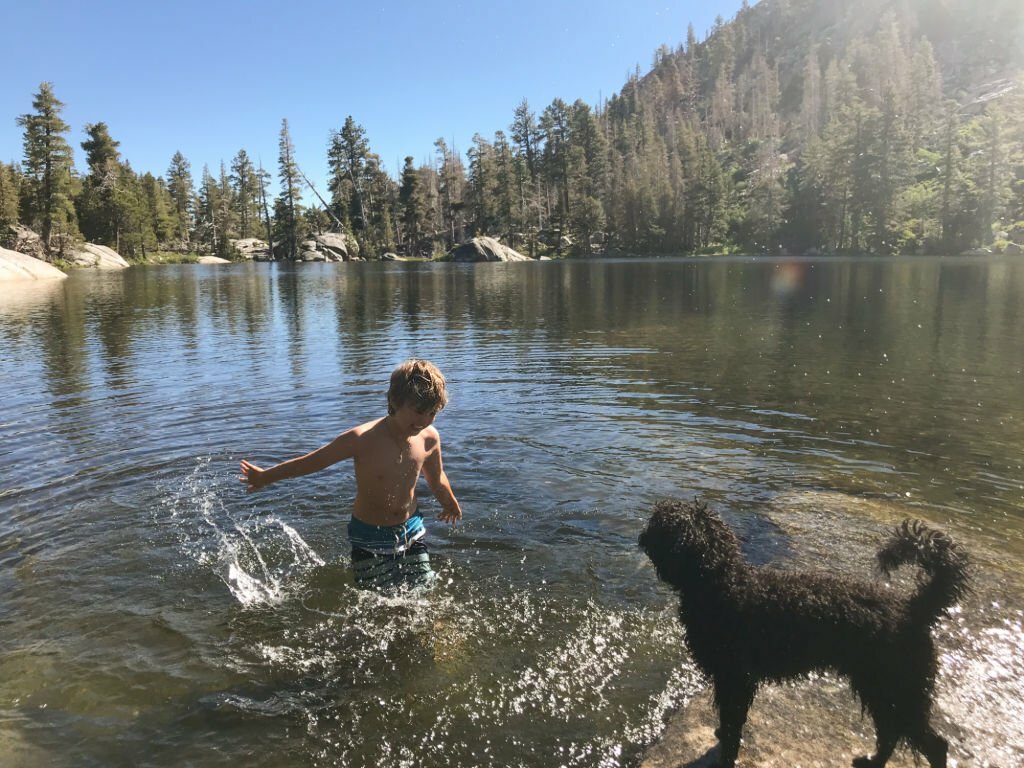 child playing with dog