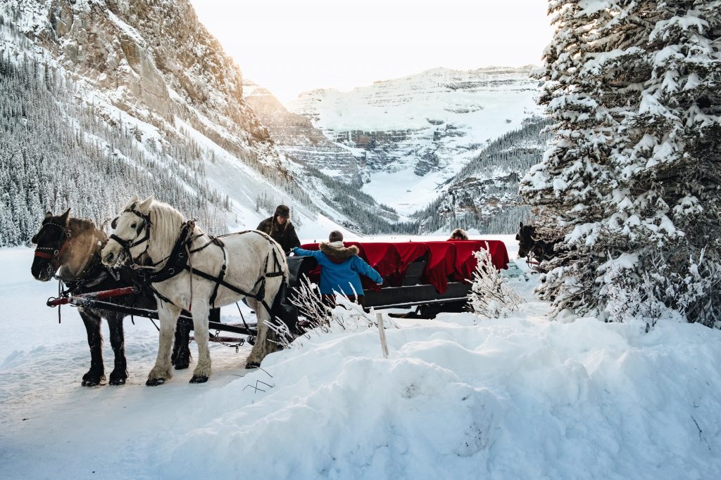 horse sleigh ride at Sunriver Stables or dog-sledding, one of the Sunriver winter activities