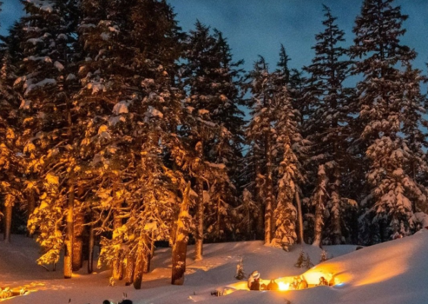 starlight snowshoe tour