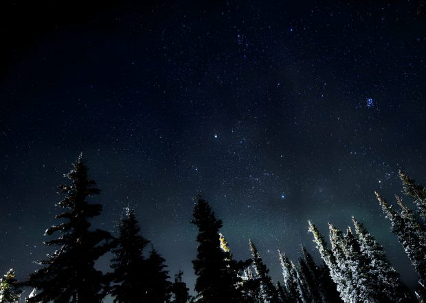 starry night